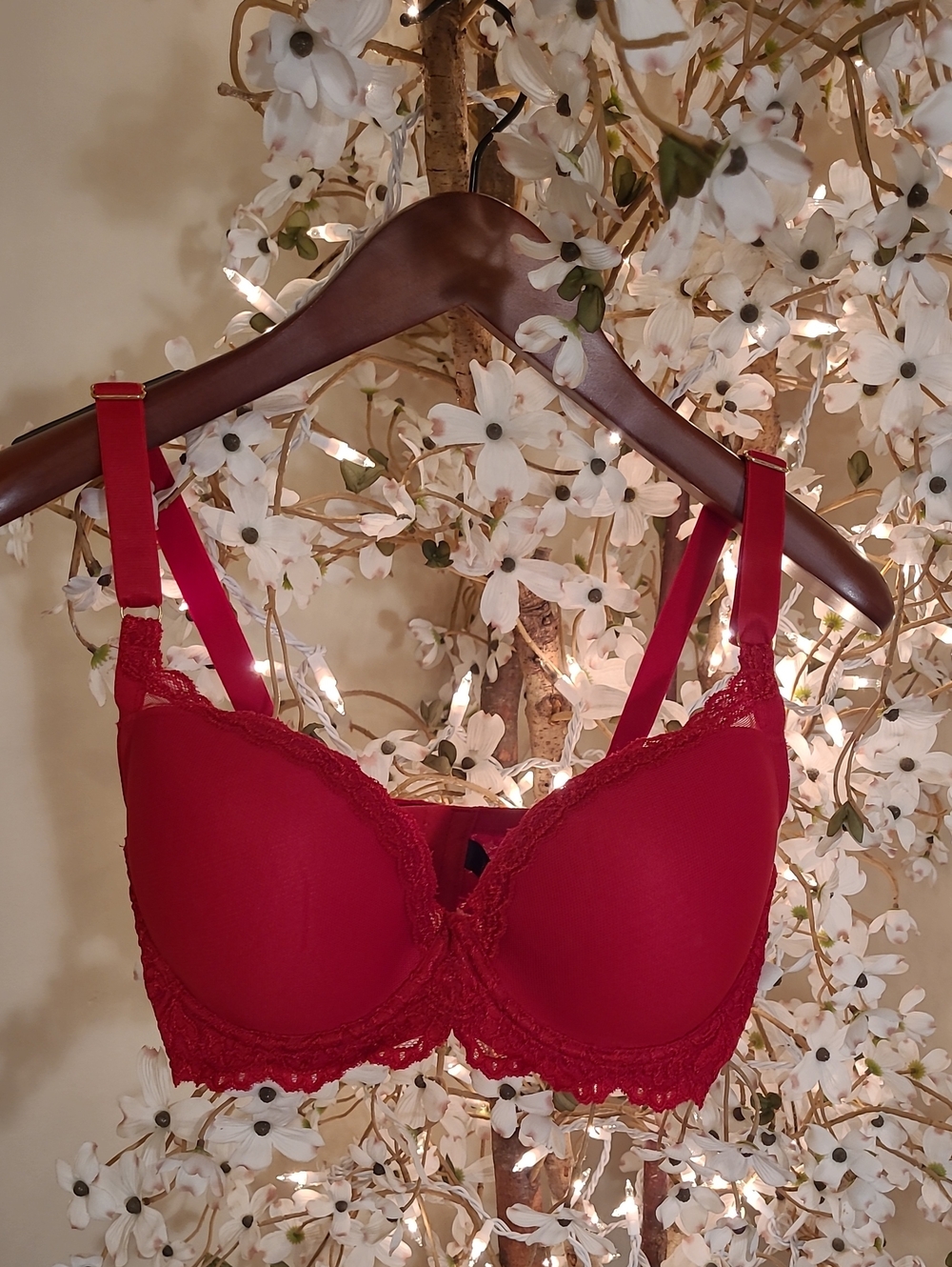 Soft And Sexy Red Lace Bra